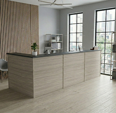 Стойка ресепшен (Скандинавский  Минимализм Хай-тек)