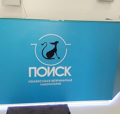Пример 313