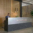 Стойка ресепшен (Хай-тек  Экостиль Лофт)